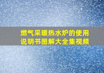 燃气采暖热水炉的使用说明书图解大全集视频