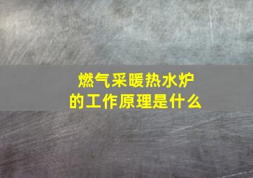 燃气采暖热水炉的工作原理是什么