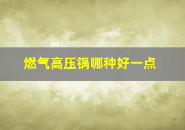 燃气高压锅哪种好一点