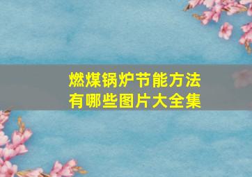 燃煤锅炉节能方法有哪些图片大全集