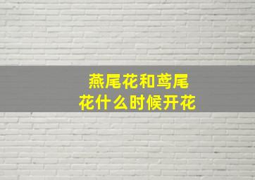 燕尾花和鸢尾花什么时候开花