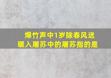 爆竹声中1岁除春风送暖入屠苏中的屠苏指的是