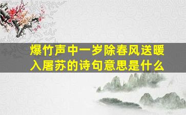 爆竹声中一岁除春风送暖入屠苏的诗句意思是什么