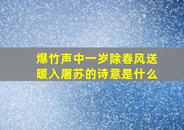 爆竹声中一岁除春风送暖入屠苏的诗意是什么