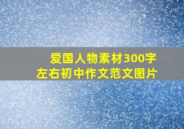 爱国人物素材300字左右初中作文范文图片