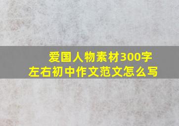 爱国人物素材300字左右初中作文范文怎么写