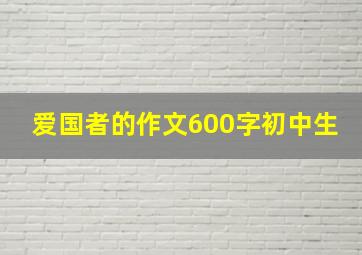 爱国者的作文600字初中生