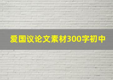 爱国议论文素材300字初中