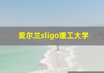 爱尔兰sligo理工大学