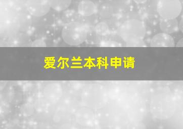 爱尔兰本科申请