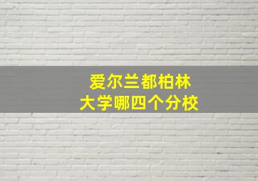 爱尔兰都柏林大学哪四个分校