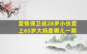 爱情保卫战28岁小伙爱上65岁大妈是哪儿一期