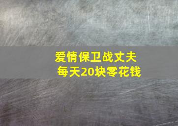 爱情保卫战丈夫每天20块零花钱