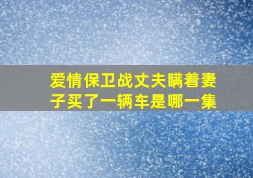 爱情保卫战丈夫瞒着妻子买了一辆车是哪一集