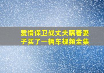 爱情保卫战丈夫瞒着妻子买了一辆车视频全集