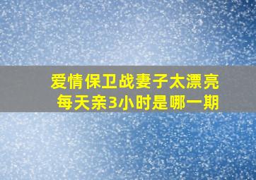 爱情保卫战妻子太漂亮每天亲3小时是哪一期