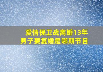 爱情保卫战离婚13年男子要复婚是哪期节目