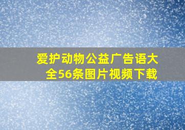 爱护动物公益广告语大全56条图片视频下载