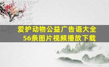 爱护动物公益广告语大全56条图片视频播放下载