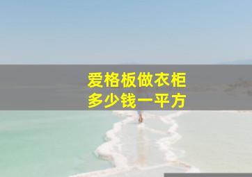 爱格板做衣柜多少钱一平方