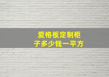 爱格板定制柜子多少钱一平方