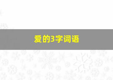 爱的3字词语