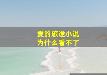 爱的旅途小说为什么看不了