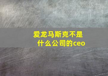 爱龙马斯克不是什么公司的ceo