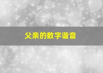 父亲的数字谐音