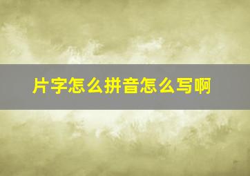 片字怎么拼音怎么写啊