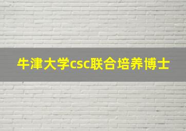 牛津大学csc联合培养博士