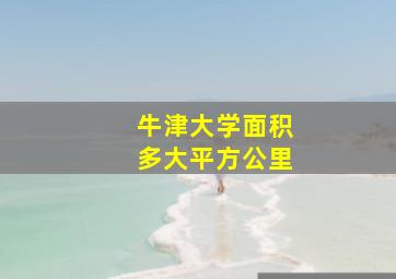 牛津大学面积多大平方公里