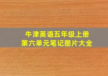 牛津英语五年级上册第六单元笔记图片大全