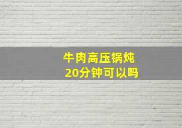 牛肉高压锅炖20分钟可以吗