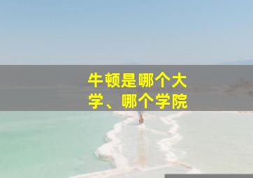 牛顿是哪个大学、哪个学院