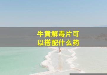 牛黄解毒片可以搭配什么药