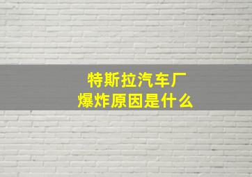 特斯拉汽车厂爆炸原因是什么