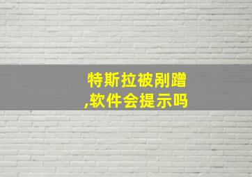 特斯拉被剐蹭,软件会提示吗