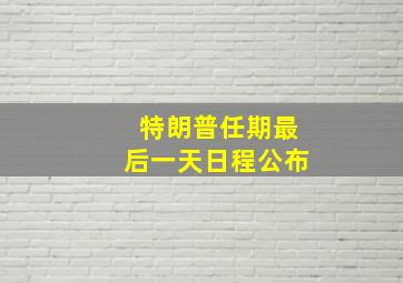 特朗普任期最后一天日程公布