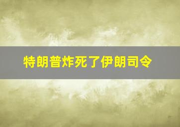 特朗普炸死了伊朗司令