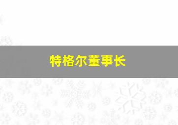 特格尔董事长