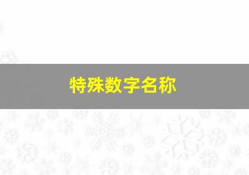 特殊数字名称