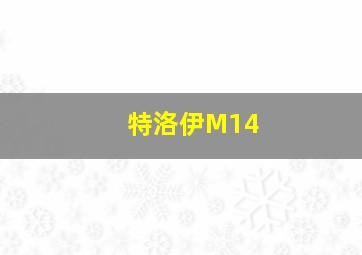 特洛伊M14