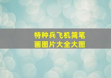 特种兵飞机简笔画图片大全大图