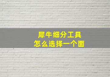 犀牛细分工具怎么选择一个面