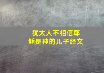 犹太人不相信耶稣是神的儿子经文