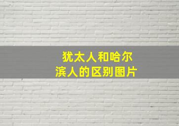 犹太人和哈尔滨人的区别图片