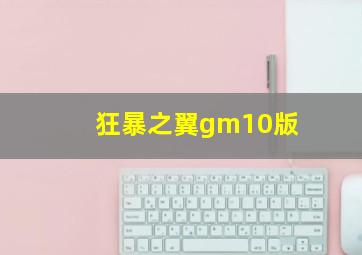 狂暴之翼gm10版