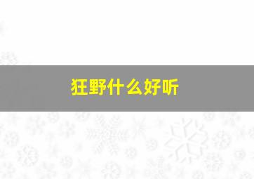 狂野什么好听