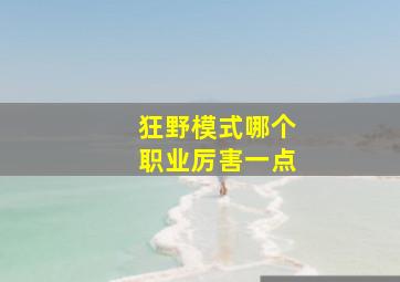 狂野模式哪个职业厉害一点